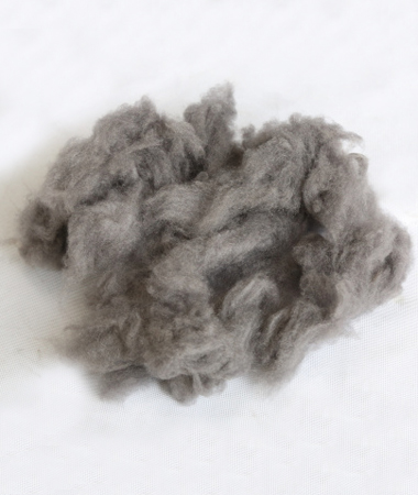 Kazhtex蘇州功能面料用抗菌導電防靜電銀纖維短纖維散毛批發